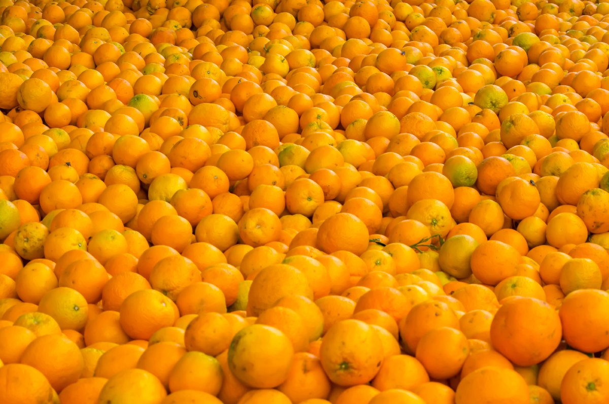 Oranges SA (1kg) - fresh grocery product