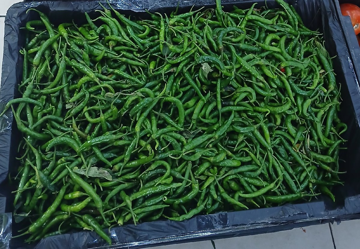 Green Fresh Chillies (1kg) - fresh grocery product